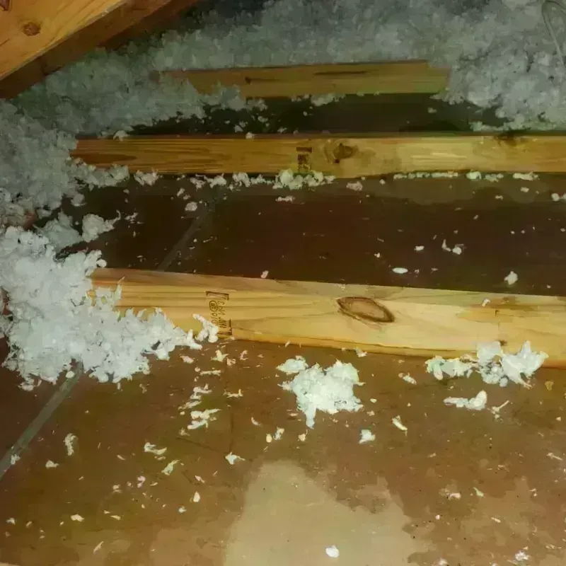 Attic Water Damage in Cedarville, OH