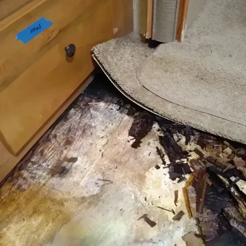 Best Wood Floor Water Damage Service in Cedarville, OH